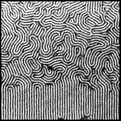 No Information Available