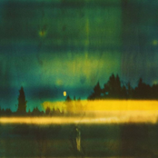 Forever Hold Your Peace