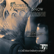 Flowers Made Of Snow