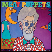 Leave Your Head Alone by Meat Puppets