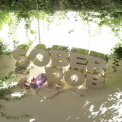 Sober Rob: Enlighten