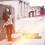 Amanda Gardier: Flyover Country