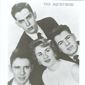 The Aquatones