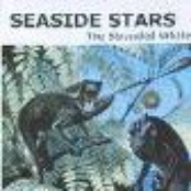 The Stranded Whale by Seaside Stars