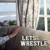 Pull Through For You by Let's Wrestle