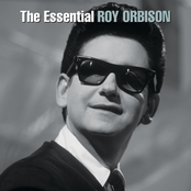 A Love So Beautiful by Roy Orbison