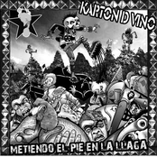 Metiendo el pie en la llaga