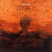 Trance by Steve Kuhn