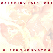 Bleed the System