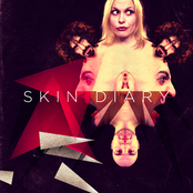skin diary