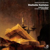 Deutsche Kantaten - Cantus Colln, Junghanel