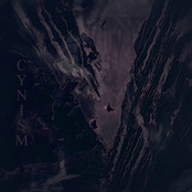 Cynism