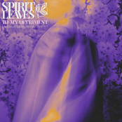 Spirit LEaves: To My Detriment