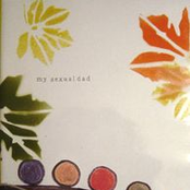 That Black Forest Feeling