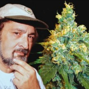 Jack Herer