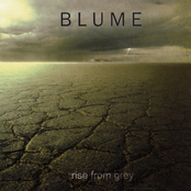 Desperate Love by Blume