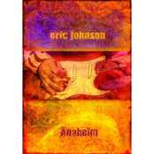 Manic Depression by Eric Johnson