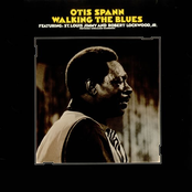 Monkey Face Woman by Otis Spann