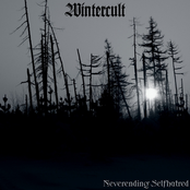 The Somber End by Wintercult