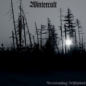 Frozen In Melancholy by Wintercult