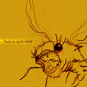 schizophonie