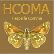 Hcoma