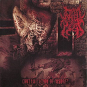 Contamination Of Whores [EP]