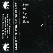 SPIRIT OF THE OLD WOOD "Demo MMXIX"