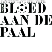 Bloed aan de paal