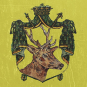 Cherry Yachtsman: Stag