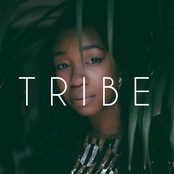 Tribe
