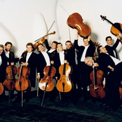 the 12 cellists of the berlin philharmonic