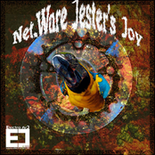 Net.Ware Jester's Joy