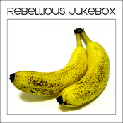 The Velvet Underground Project