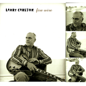 Big Trouble by Larry Carlton