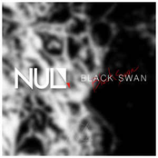 BLACK SWAN - Single