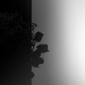 The Moon Also Bears Scars EP