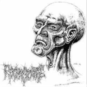 Vaginal Massaker & Regurgitate