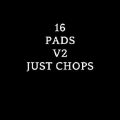 16 pads v2 just chops (no drums)