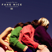 Fake Nice