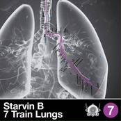 7 Train Lungs