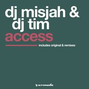 Access (Original 12")