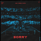 Sorry