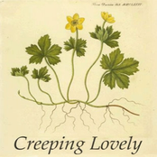 Always You by Creeping Lovely