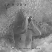 This Is Everything There Is