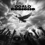 O Galo É o Bicho