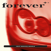 Heat Seeking Missile