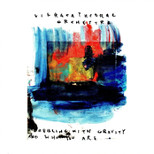 Going Out Intending To Dig by Vibracathedral Orchestra