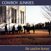 the caution horses