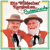 In Meiner Kleinen Kneipe by Die Wildecker Herzbuben